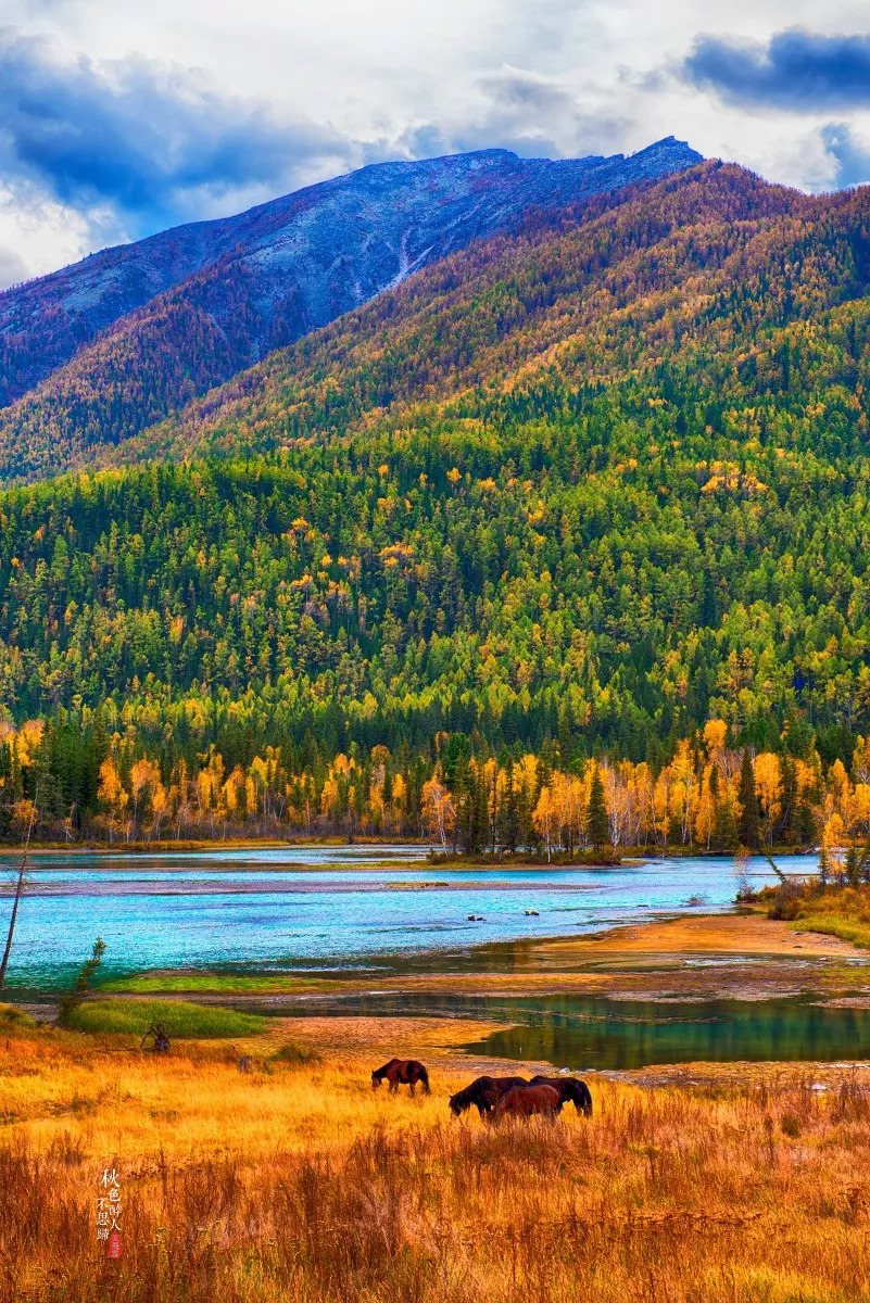 新疆之光,引领科技生活新纪元的领先高科技产品介绍