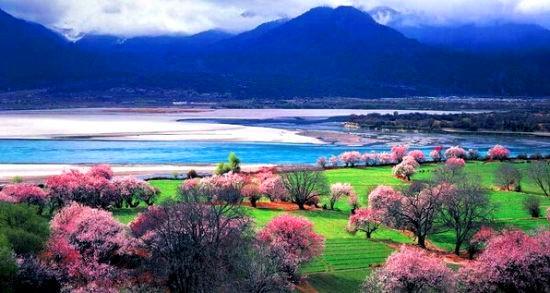 神秘高原的西藏,探寻诱惑与魅力之旅