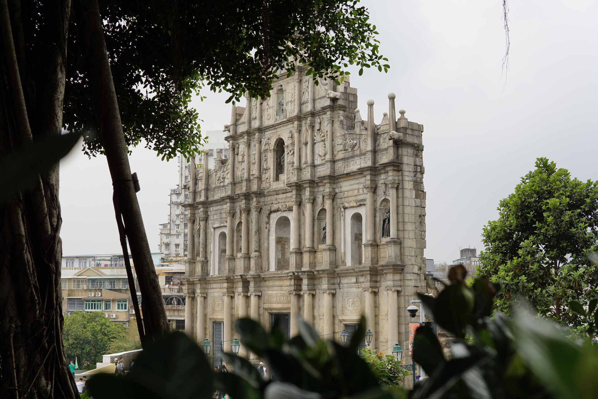 澳门,任务完成与学习技能详细步骤指南