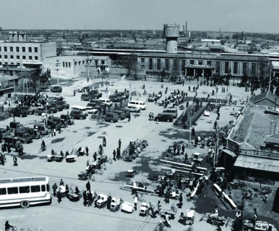 衡水暖阳,小城欢乐时光掠影