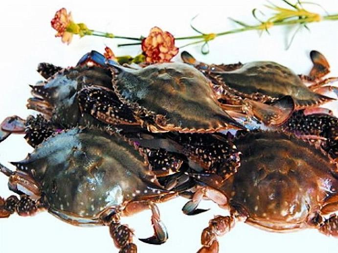 大连探秘,小巷深处的独特风情