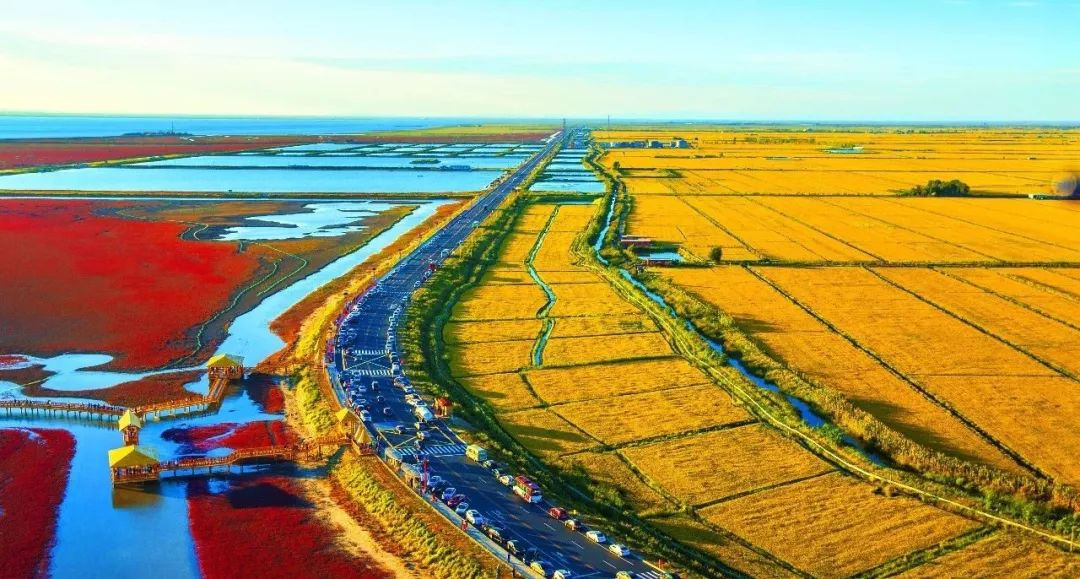 盘锦,魅力湿地之都的魅力展现
