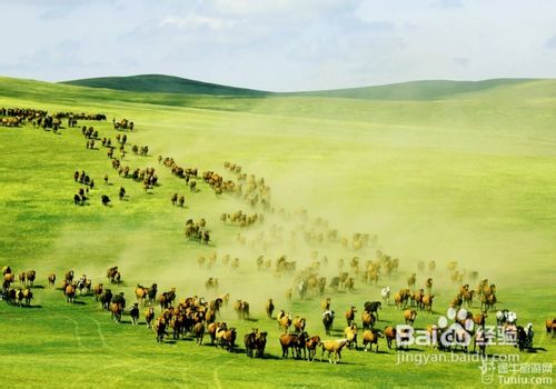 呼伦贝尔,大草原的播音之声